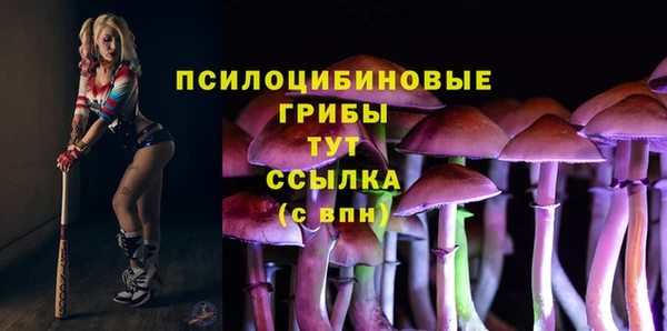 мет Няндома