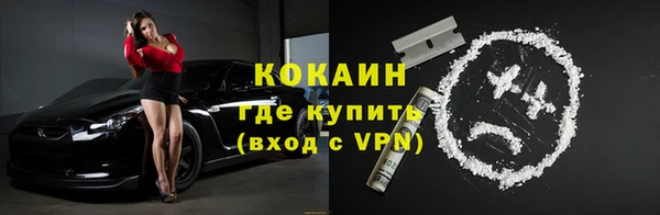 мет Няндома