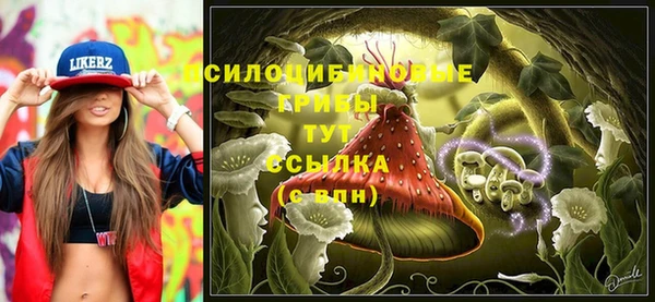 ALPHA-PVP Остров