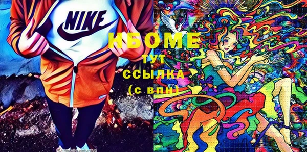 мет Няндома