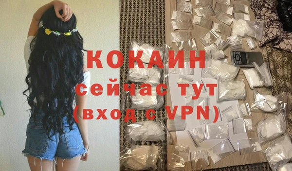 мет Няндома