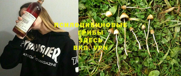 мет Няндома