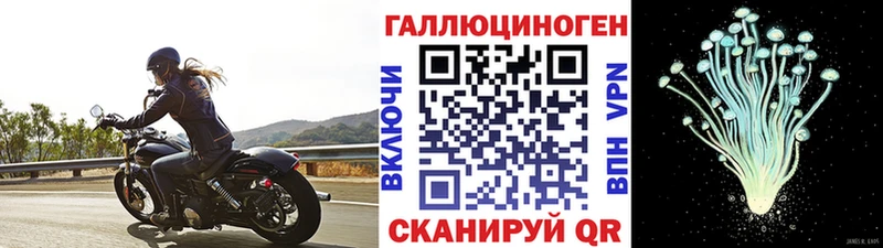 Псилоцибиновые грибы Cubensis  кракен вход  Кропоткин  купить  