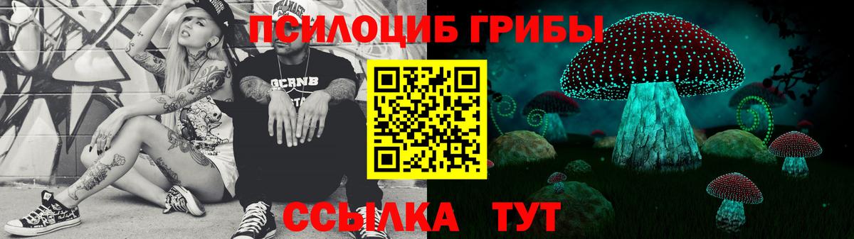 Псилоцибиновые грибы GOLDEN TEACHER Кропоткин